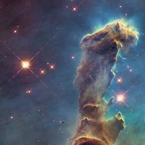 Meet your Posher, Lynn